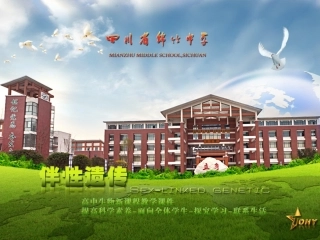 基因在染色体上课件