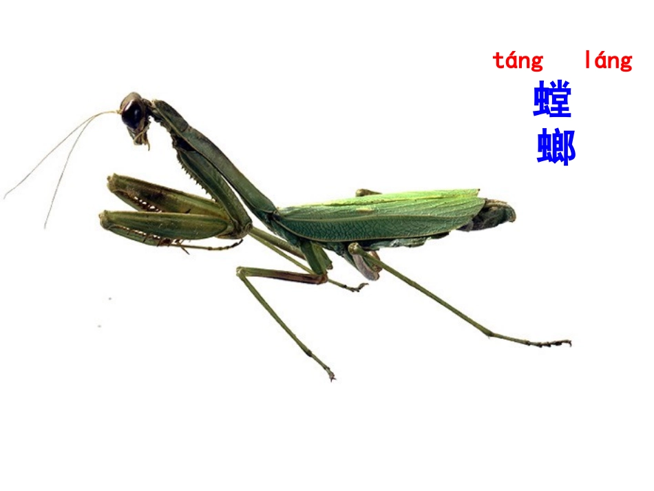苏教版一年级语文上册识字4蔡云云_第2页