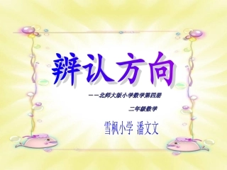 潘文文辨认方向