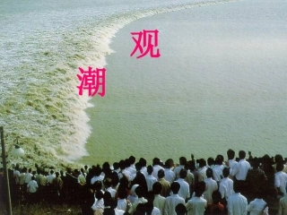 四年级《观潮》课件