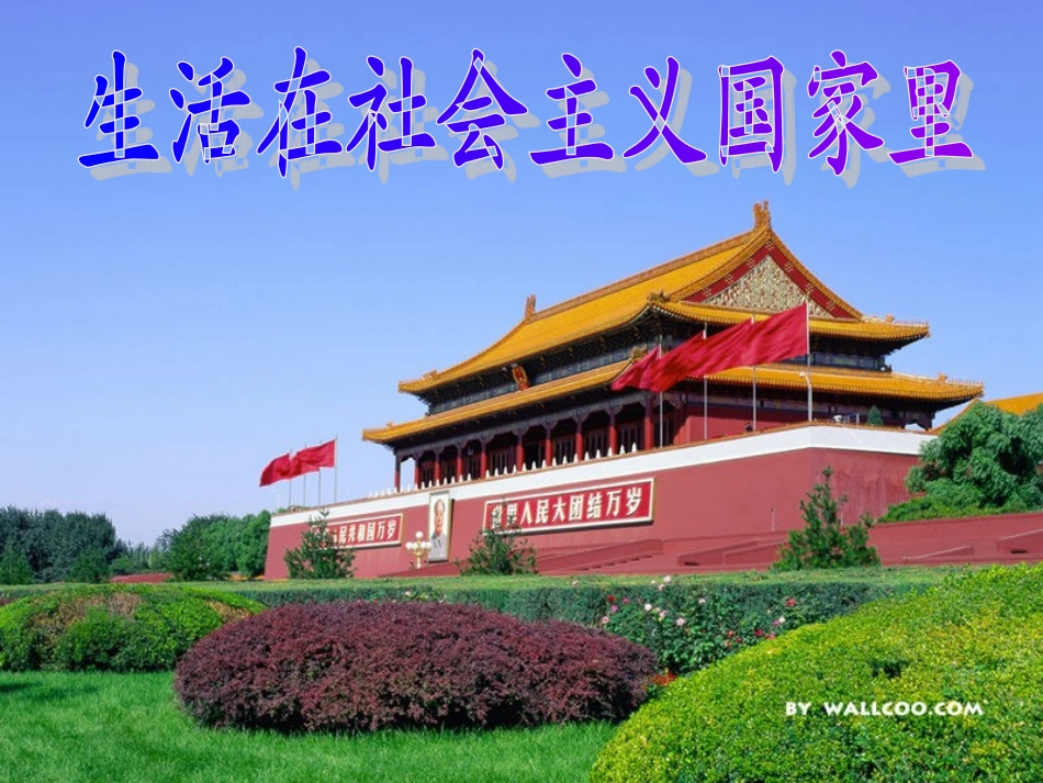 第一节发展中的社会主义_第2页