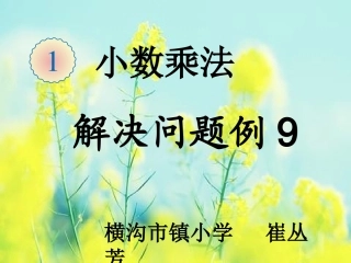 问题解决例9课件1