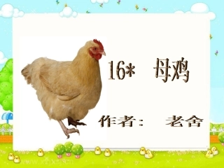《母鸡》课件