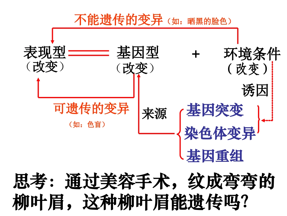 《基因突变》_第1页