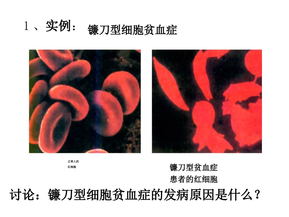《基因突变》_第3页