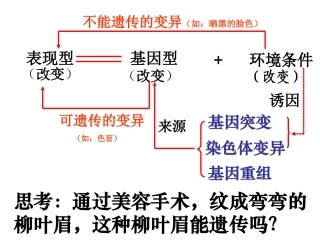《基因突变》