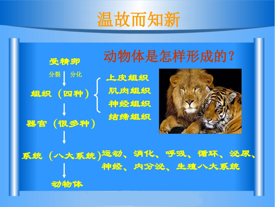 第三节植物体的结构层次_第2页