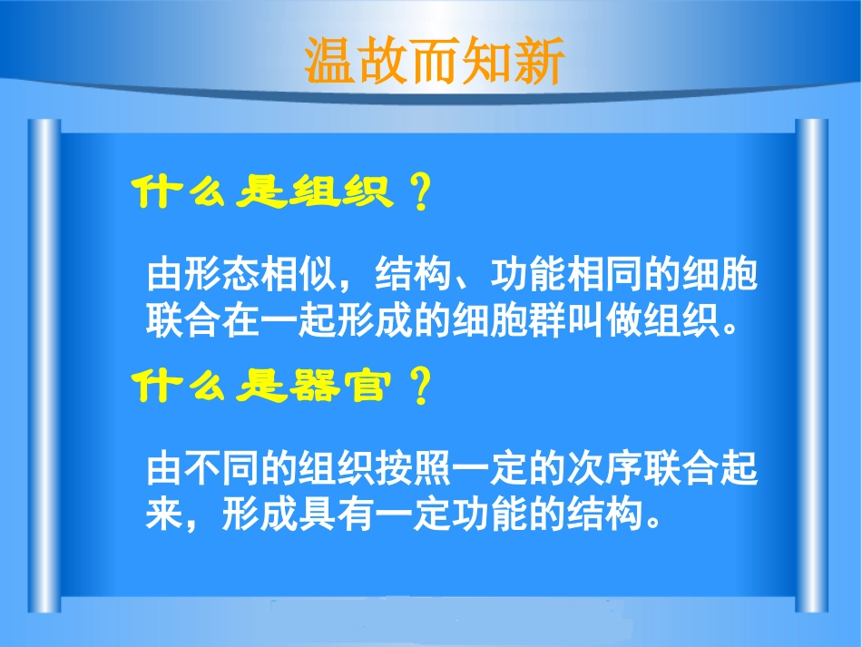 第三节植物体的结构层次_第3页