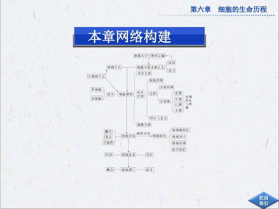 第六章本章优化总结_第2页