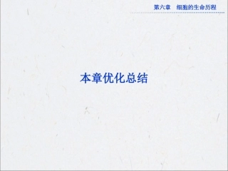 第六章本章优化总结