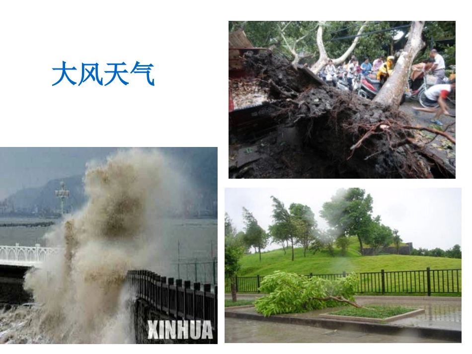 第三章_第一节__多变的天气_第3页