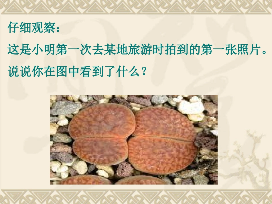 生物的基本特征_第2页