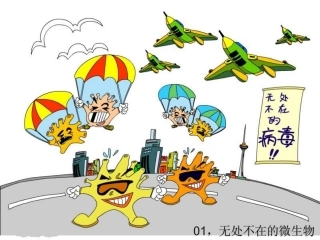 特异性免疫动画版