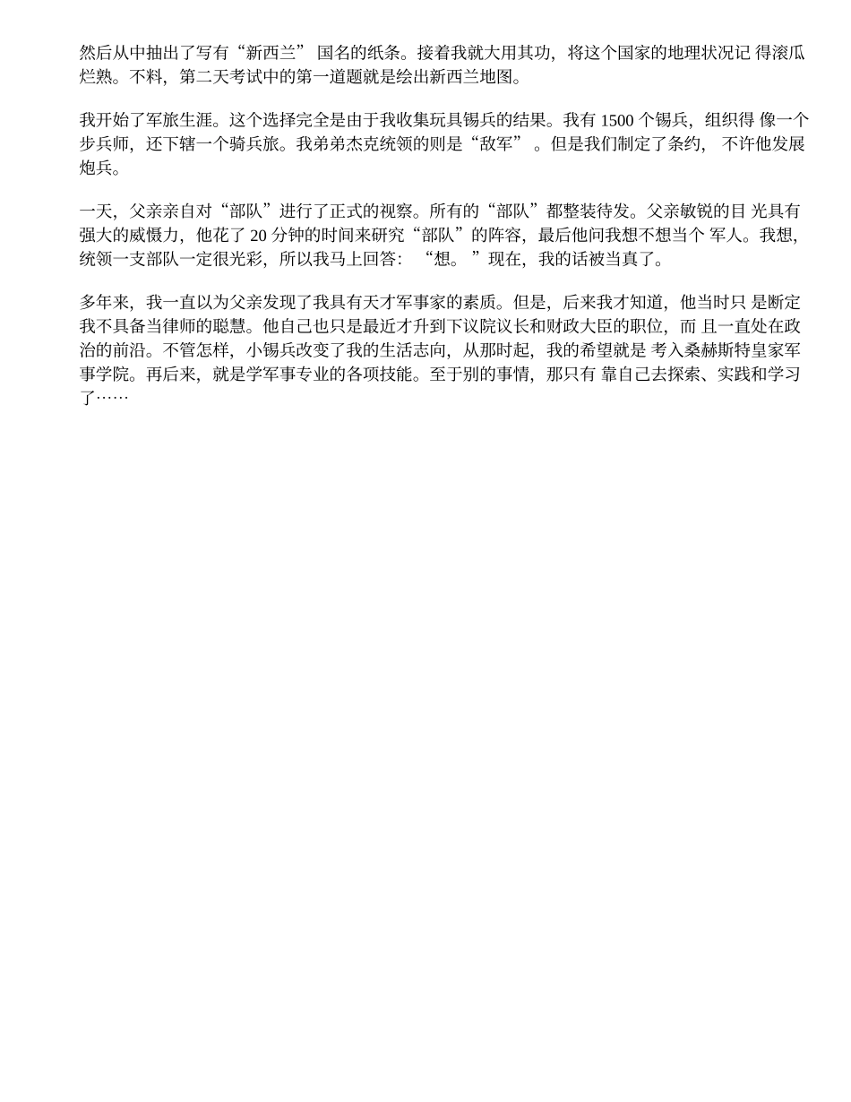 伟大的笨蛋-丘吉尔_第2页