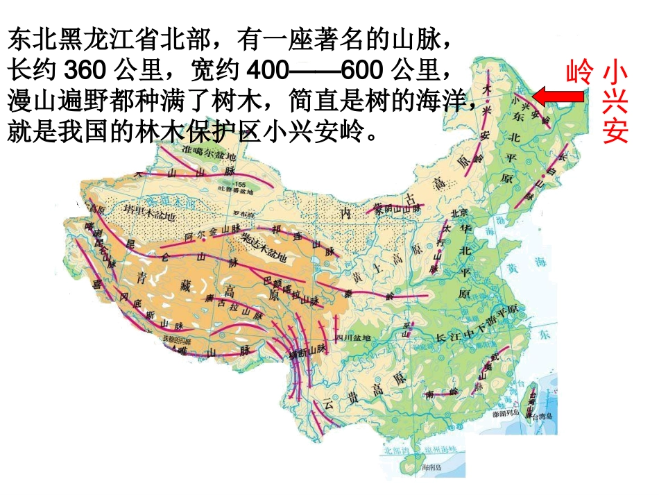 美丽的小兴安岭（修改）_第2页