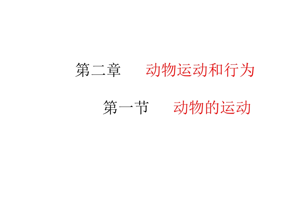 动物的运动正式课件_第1页