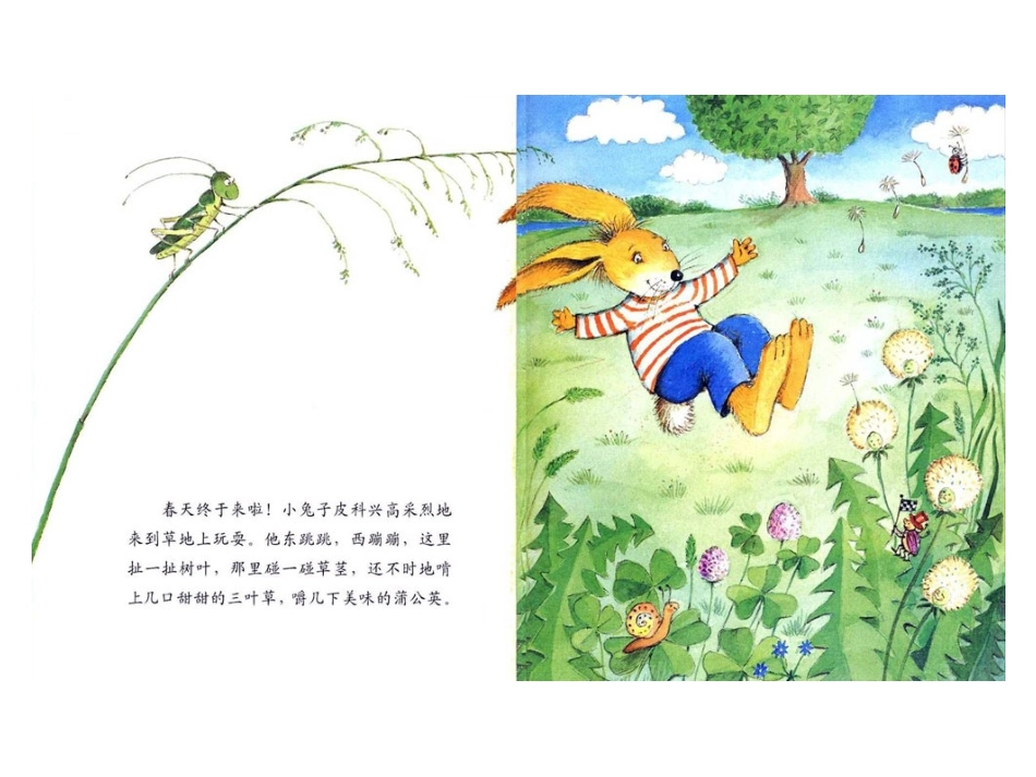 绘本故事-小机灵鬼皮科的故事_第3页