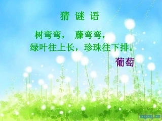 第17课《酸的和甜的》课件