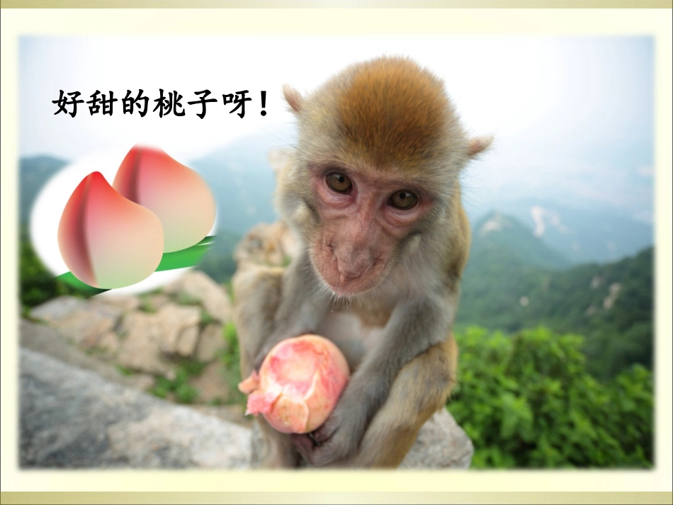 小猴子吱吱叫_第3页