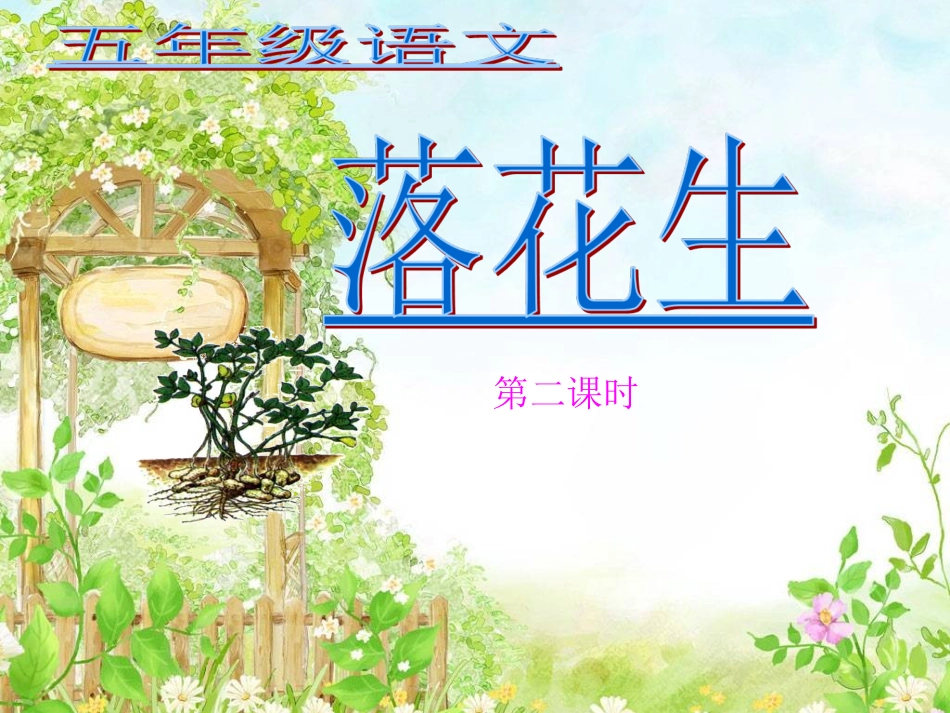 《落花生》第二课时_第1页