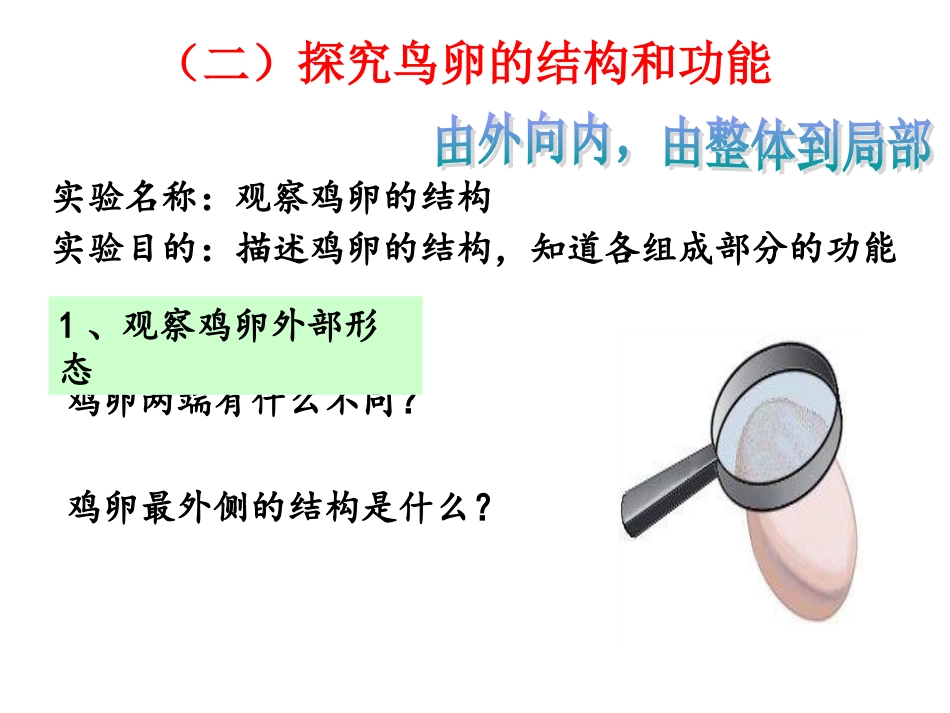 鸟类的生殖和发育_第3页