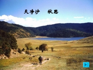 天净沙·秋思200
