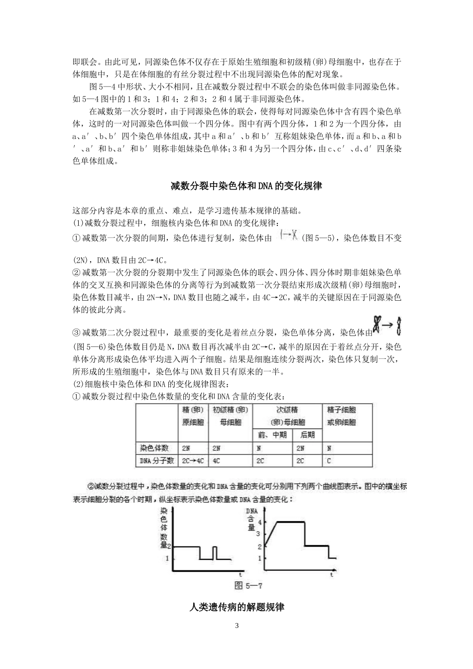 有丝分裂和减数分裂图象的鉴别_第3页