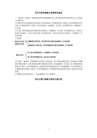 有丝分裂和减数分裂图象的鉴别