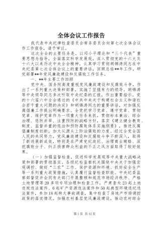 全体会议工作报告