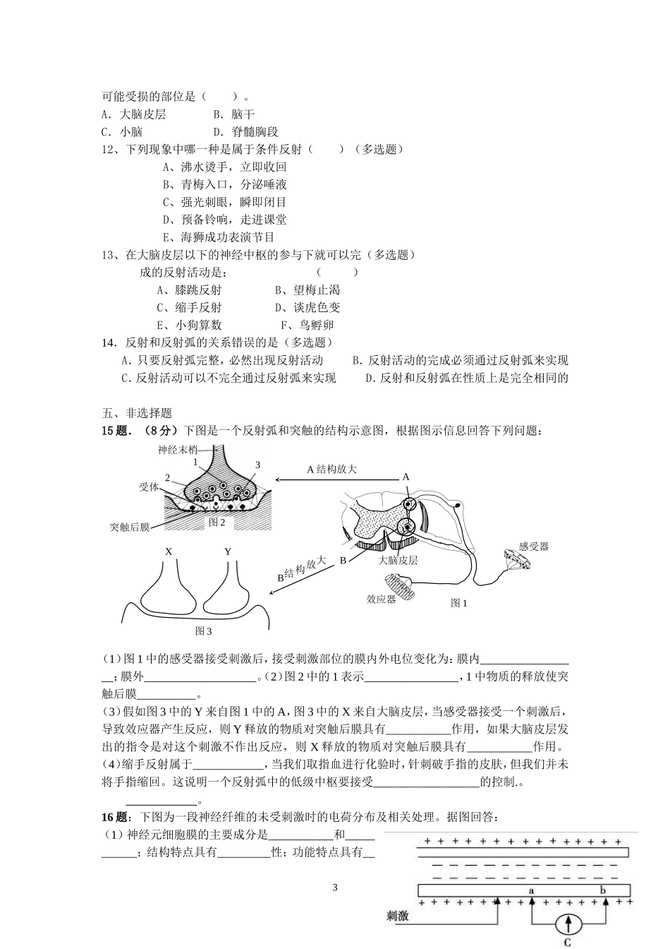 高三生物神经调节练习题_第3页