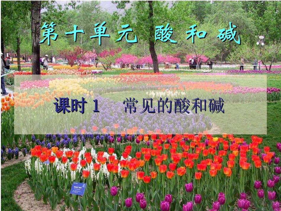 第十单元课题1常见的酸和碱第一课时课件_第2页