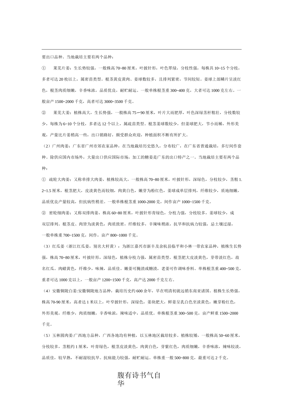 生姜栽培技术1_第2页