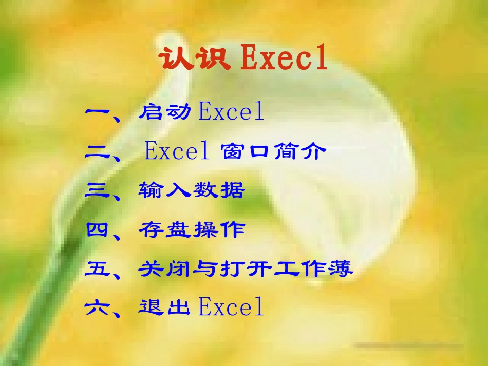 认识Execel_第1页