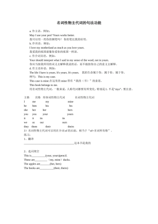 名词性物主代词的句法功能
