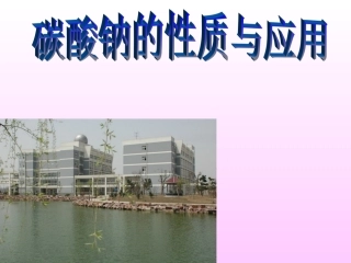 碳酸钠的性质与应用 (2)