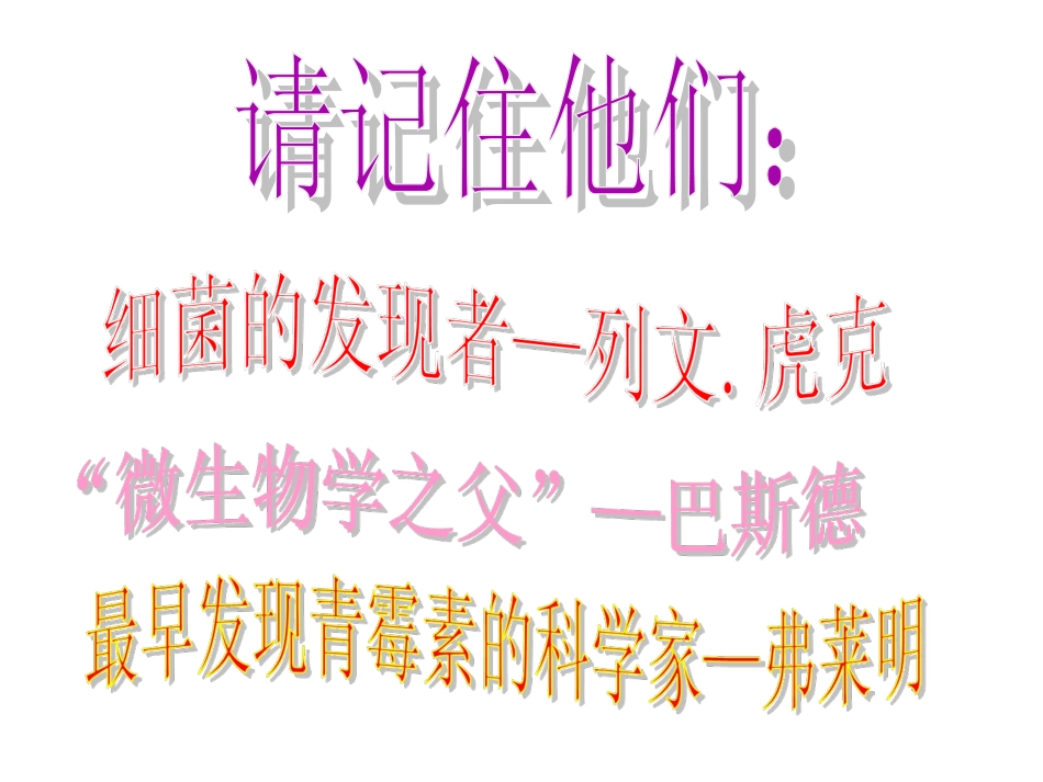 《分布广泛的细菌和真菌》基础知识点复习课件_第2页