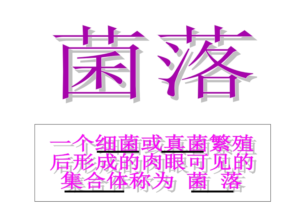 《分布广泛的细菌和真菌》基础知识点复习课件_第3页