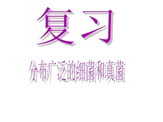 《分布广泛的细菌和真菌》基础知识点复习课件