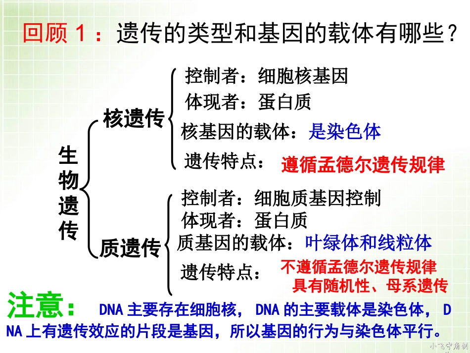 第一节_基因分离定律(理科班)_第2页