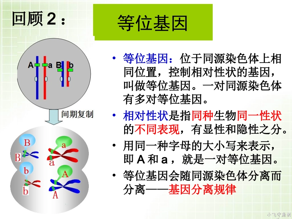 第一节_基因分离定律(理科班)_第3页