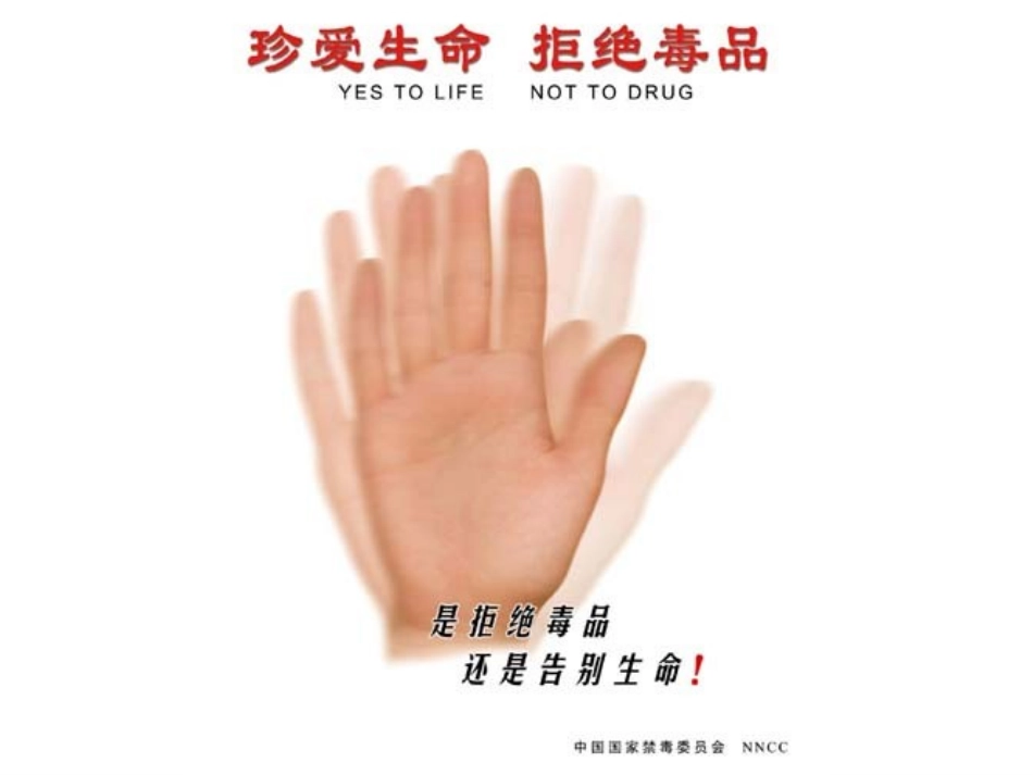 禁毒教育主题班会《禁毒宣传》课件wwwjiaokeducom(1)_第2页