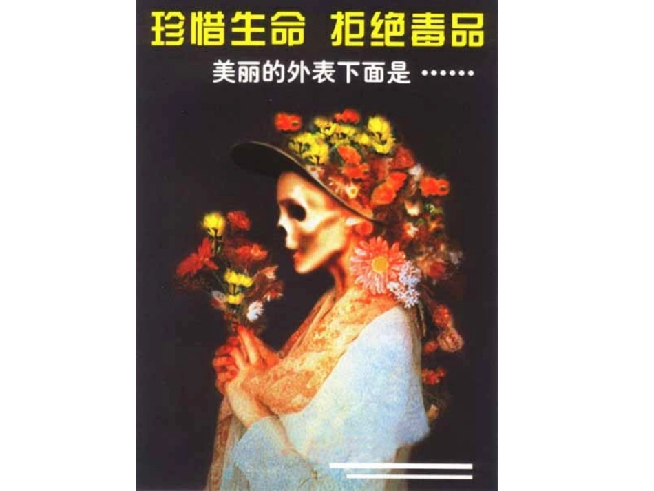 禁毒教育主题班会《禁毒宣传》课件wwwjiaokeducom(1)_第3页