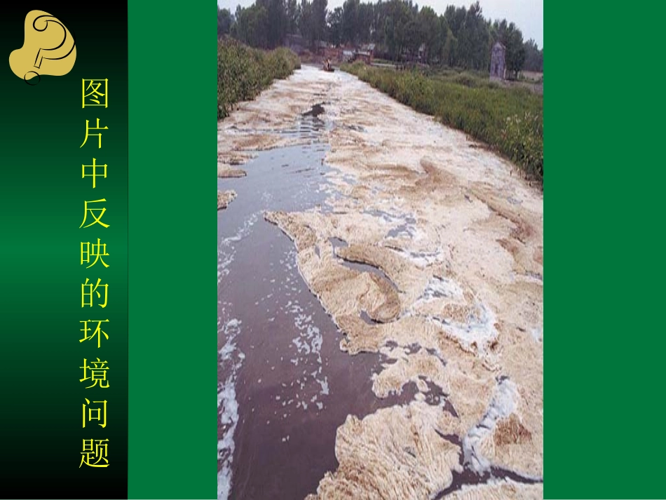 htn41人类面临的主要环境问题_第3页