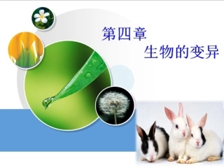 第一节生物变异的来源韦红