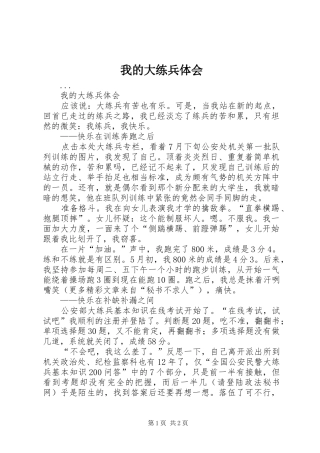 我的大练兵体会