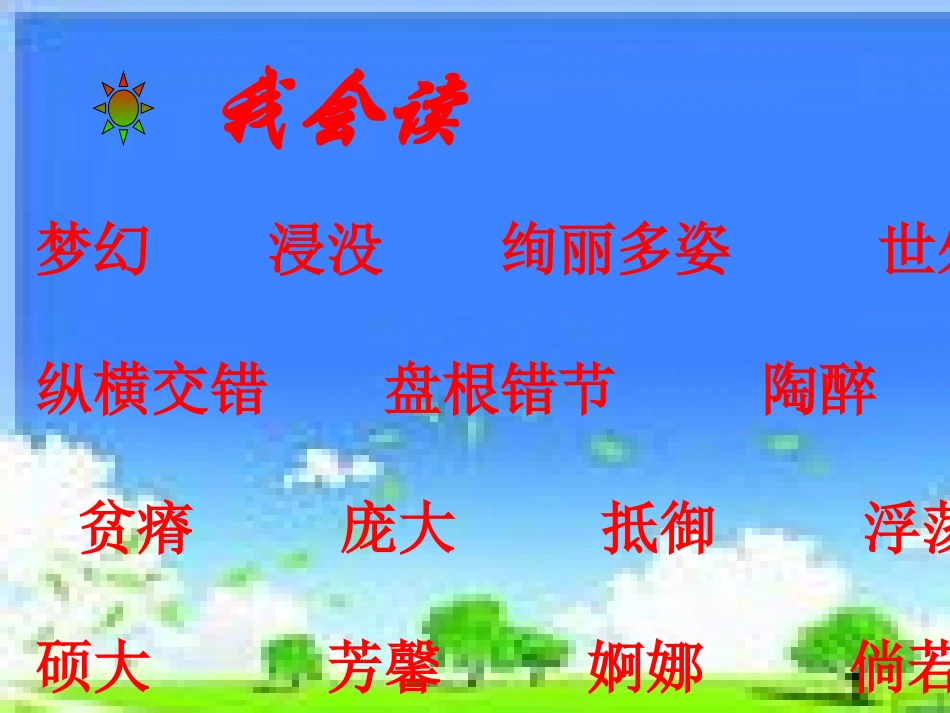 红树林PPT_第2页