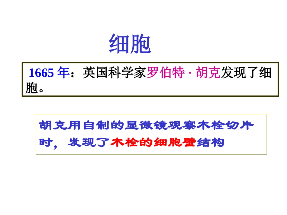 第二章复习（第2课时）_第2页