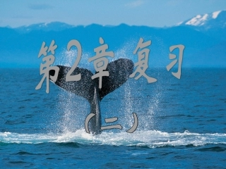 第二章复习（第2课时）