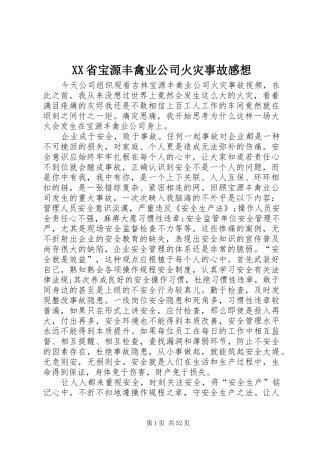 XX省宝源丰禽业公司火灾事故感想