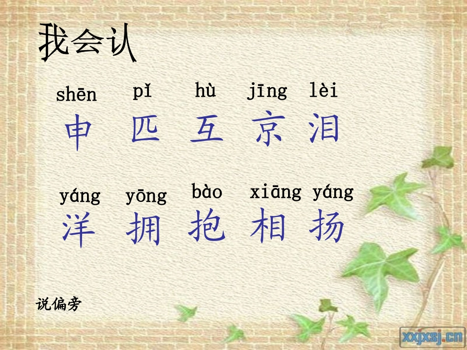 人教版语文二上11《我们成功了》PPT课件(1)_第2页